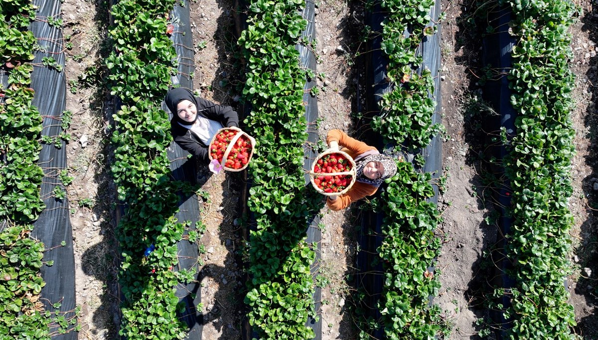 Gelin görümce el ele verdi: Ata topraklarında üretmeye başladılar