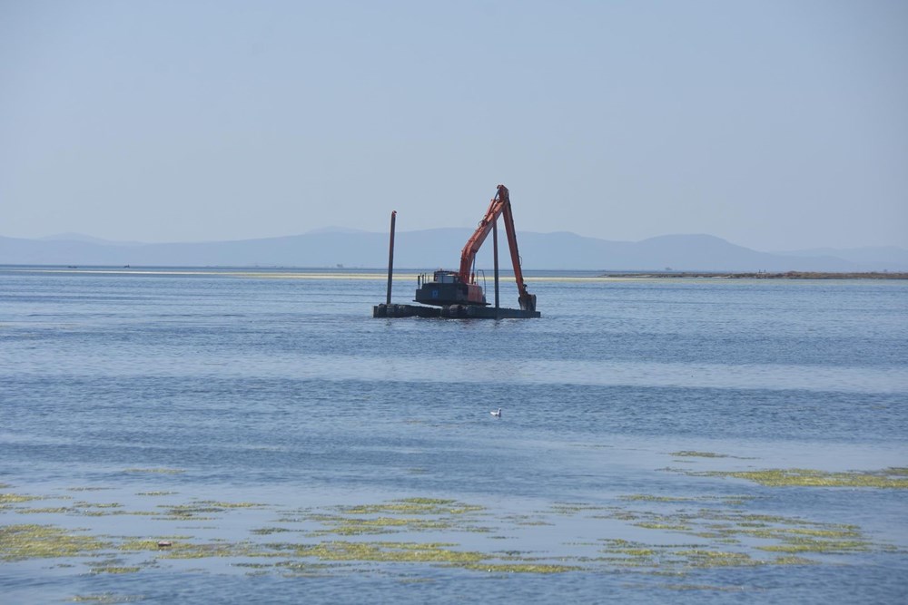 İzmir'de denizin rengi yeşile döndü - 8