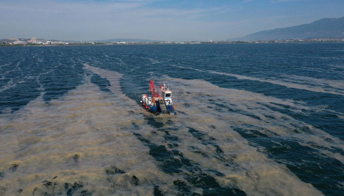 İzmit Körfezi’nde 150 ton deniz salyası toplandı