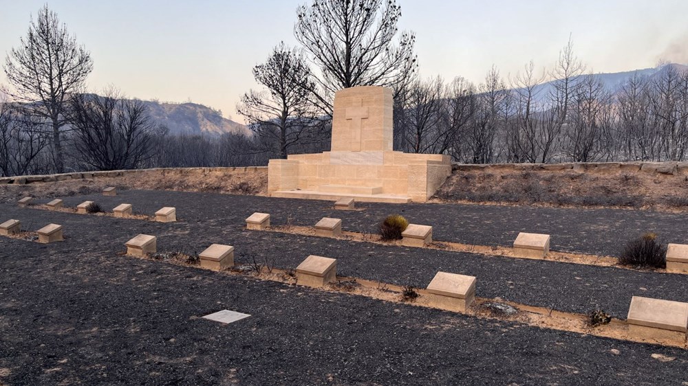 Çanakkale, Bolu, Manisa ve İzmir'de orman yangını: Çanakkale'de tarihi alana ulaşması önlendi - 8