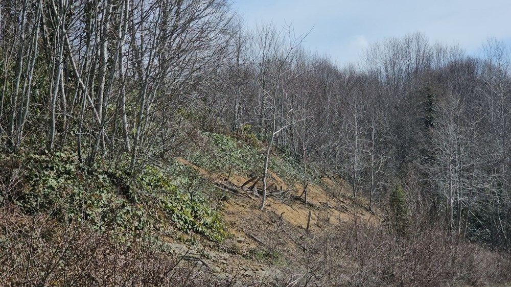 Kamp alanında ölü bulunmuştu: İç mimar Bartu Can cinayeti davasında karar - 3
