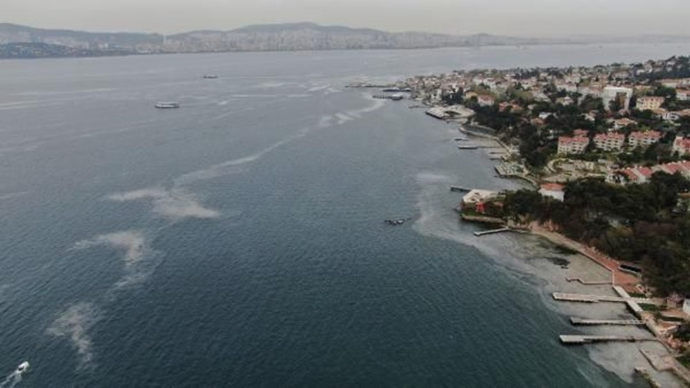 Büyükada'yı 'salya' sardı - 7