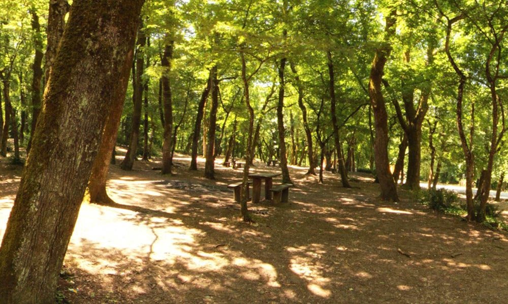 İstanbul'un Tabiat Parkları (İstanbul'daki tabiat parklarının listesi ve isimleri) - 10