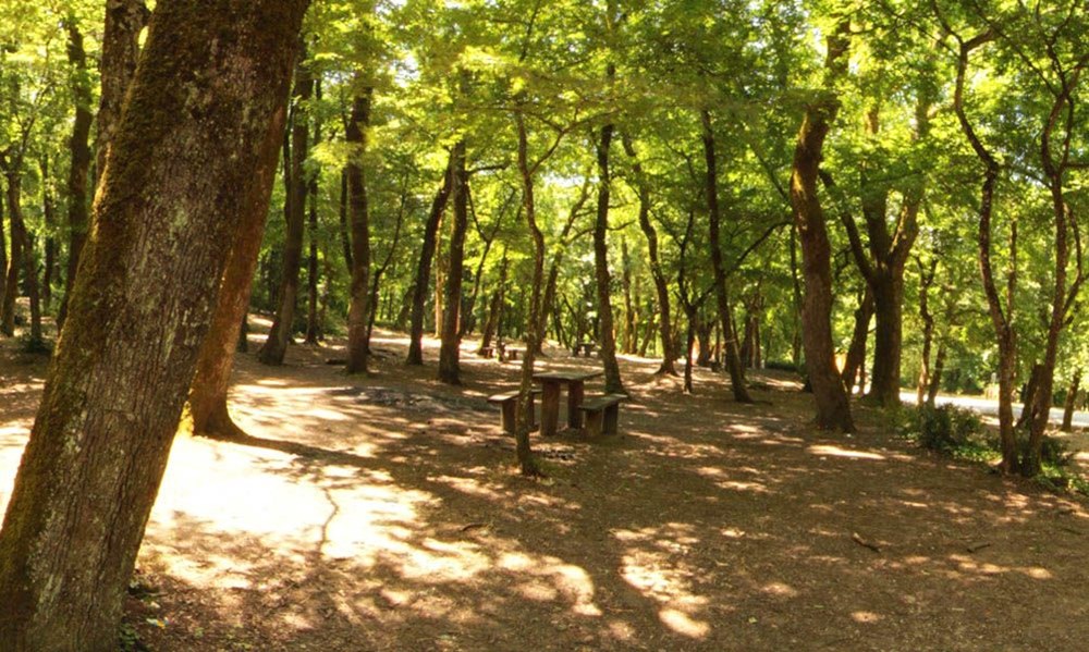 İstanbul'un Tabiat Parkları (İstanbul'daki tabiat parklarının listesi ve isimleri) - 10 İstanbul'un Tabiat Parkları (İstanbul'daki tabiat parklarının listesi ve isimleri) - 10