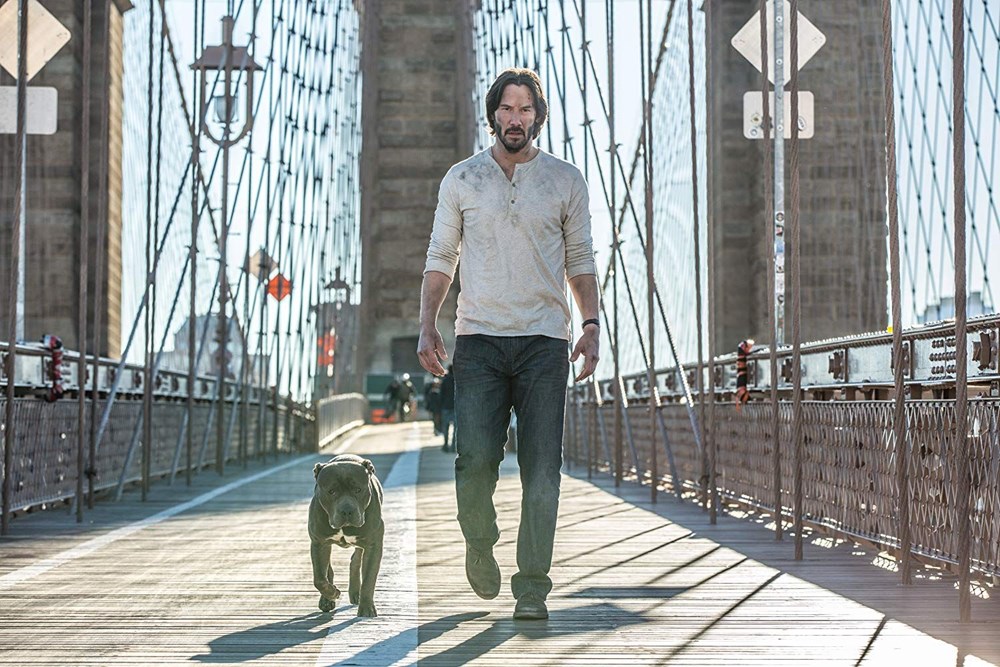 John Wick 3�teki köpekli sahnelerin sırrı ortaya çıktı NTV