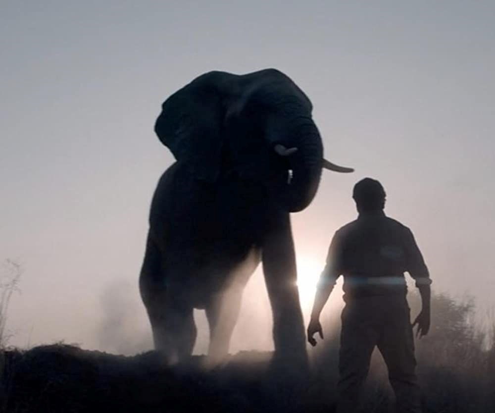 2023 Oscar adayları açıklandı (95. Oscar Ödülleri) - 17