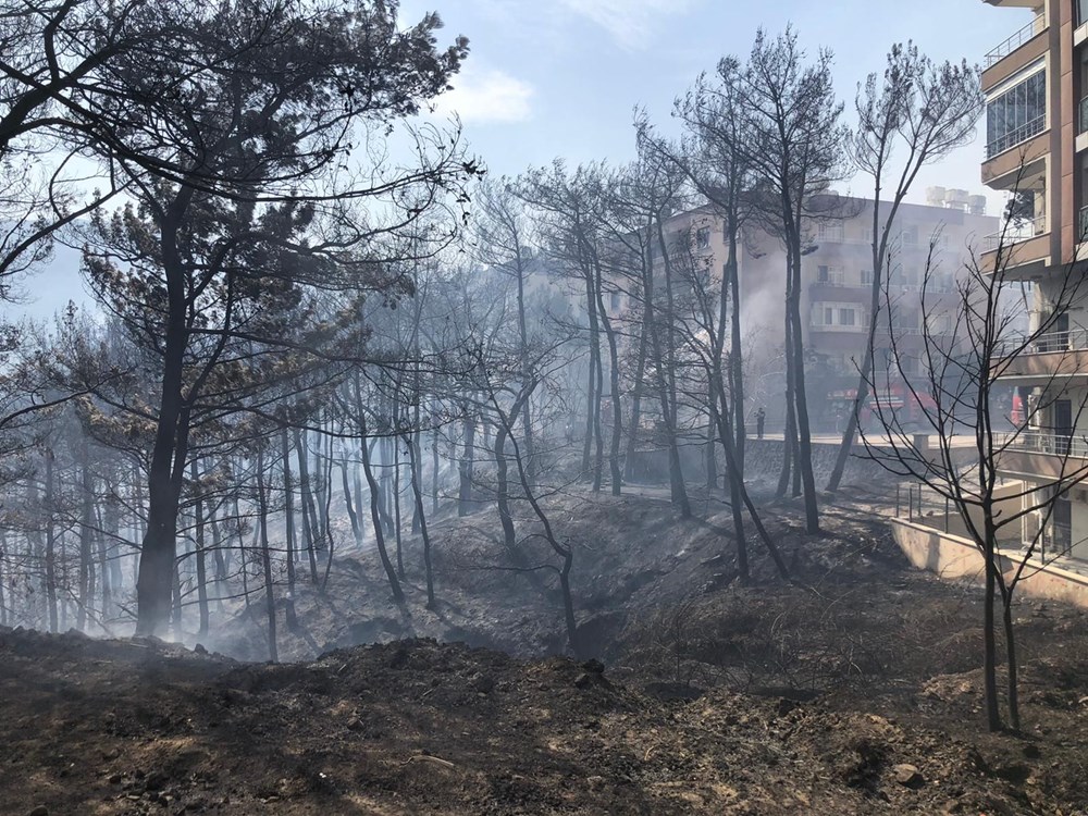 Hatay yangınından yansıyan fotoğraflar - 27