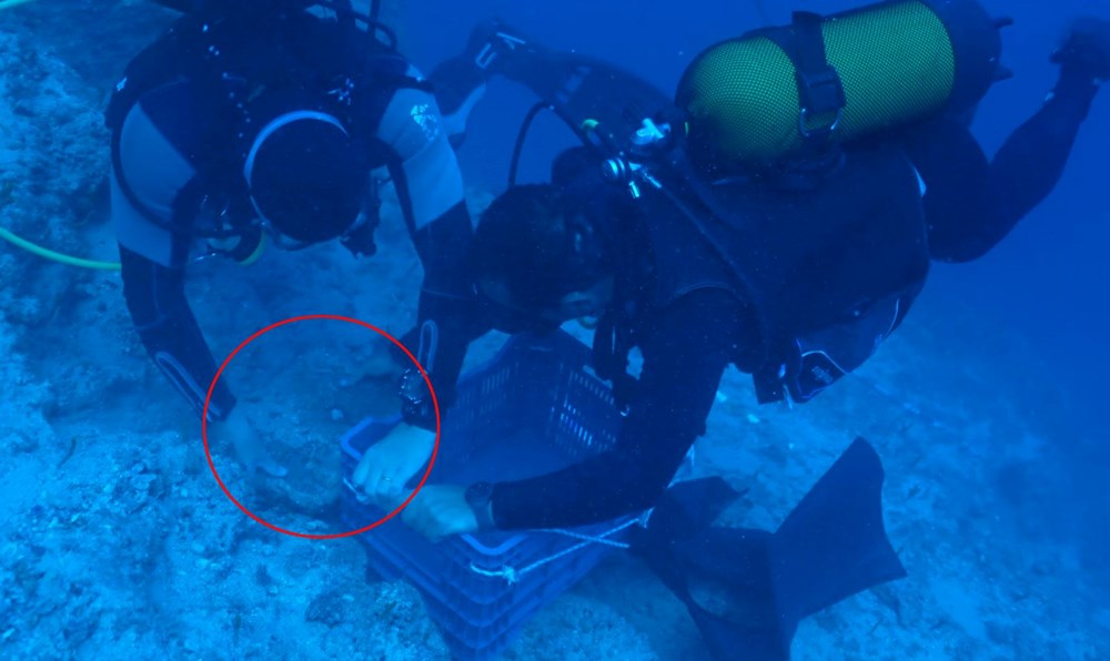 25'er kiloluk külçeler! Antalya'da dünyanın en eski batığında bulundu - 6