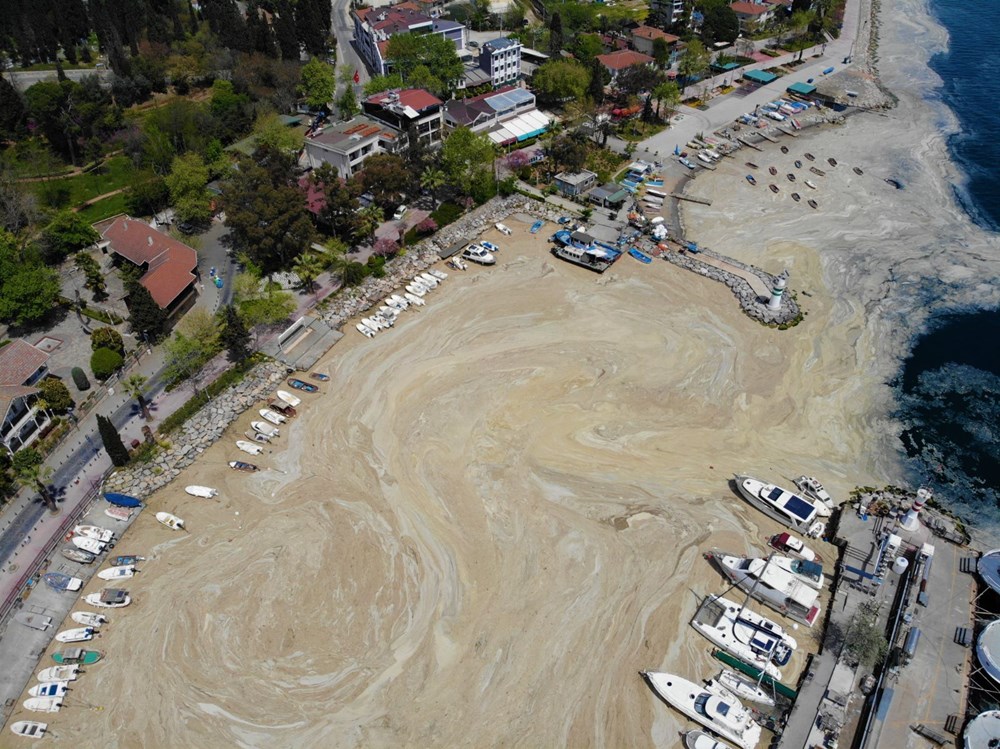 Büyükada'yı 'salya' sardı - 5