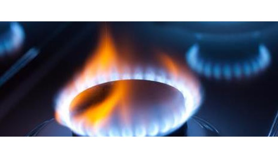 Hane başına gaz tüketiminde lider Ardahan