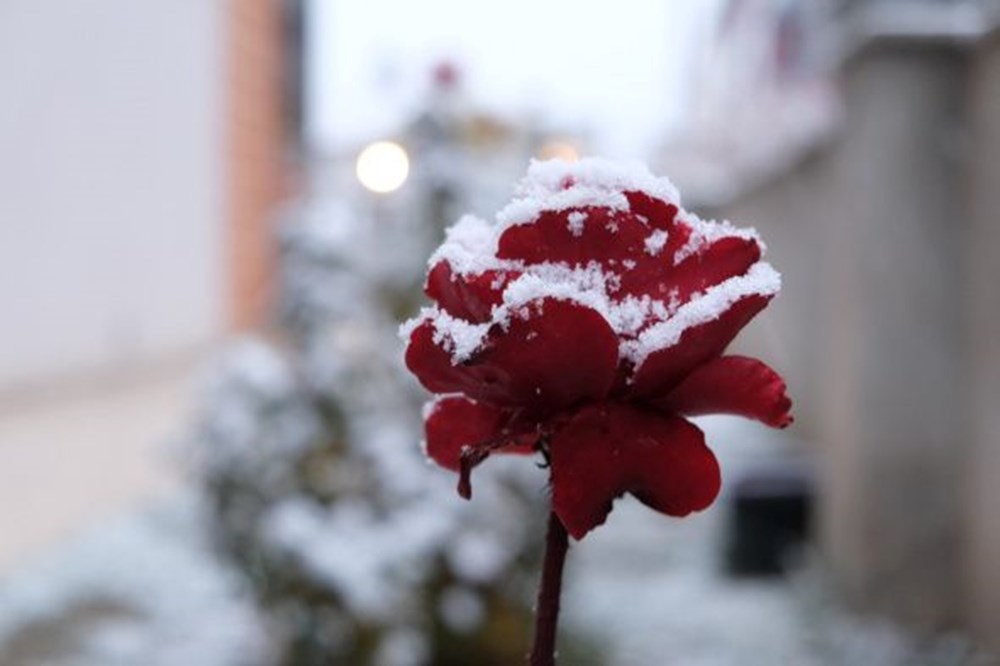 Mevsimin ilk karı düştü: İşte yurttan kar manzaraları - 7