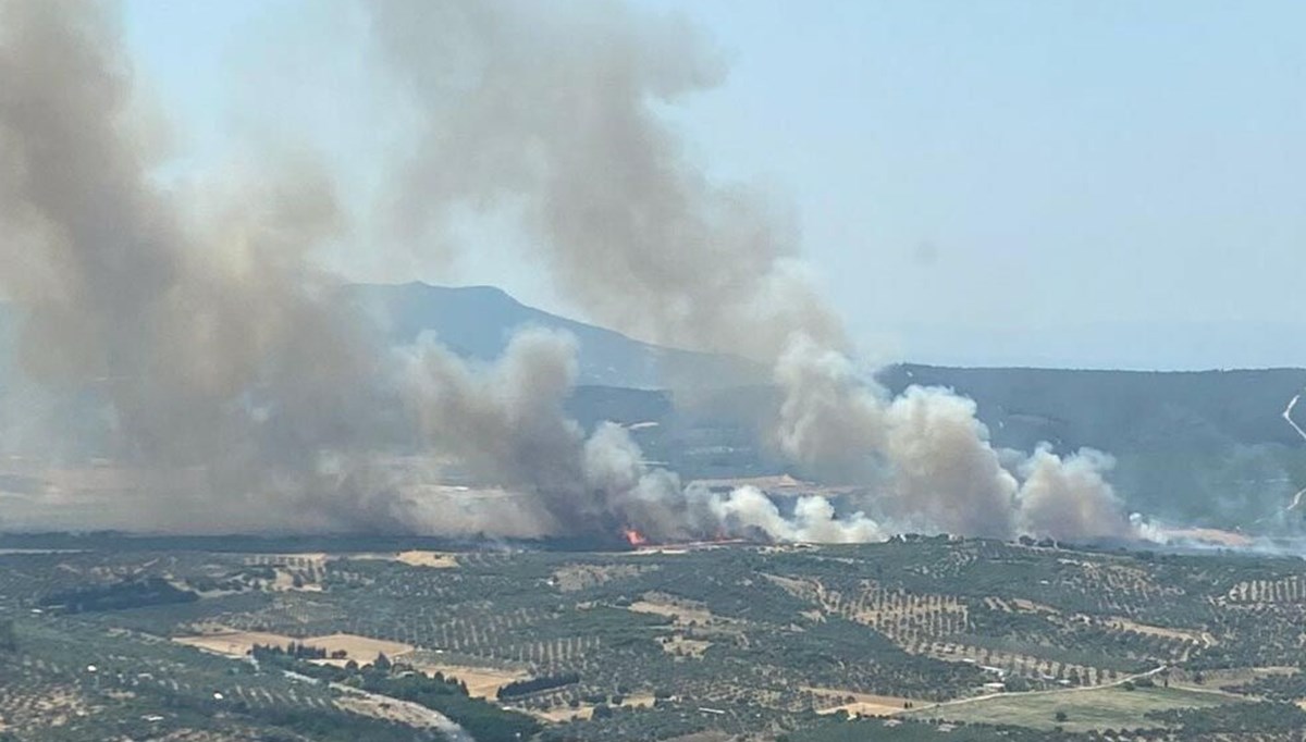 İzmir'in iki ilçesinde çıkan orman yangınları kontrol altına alındı
