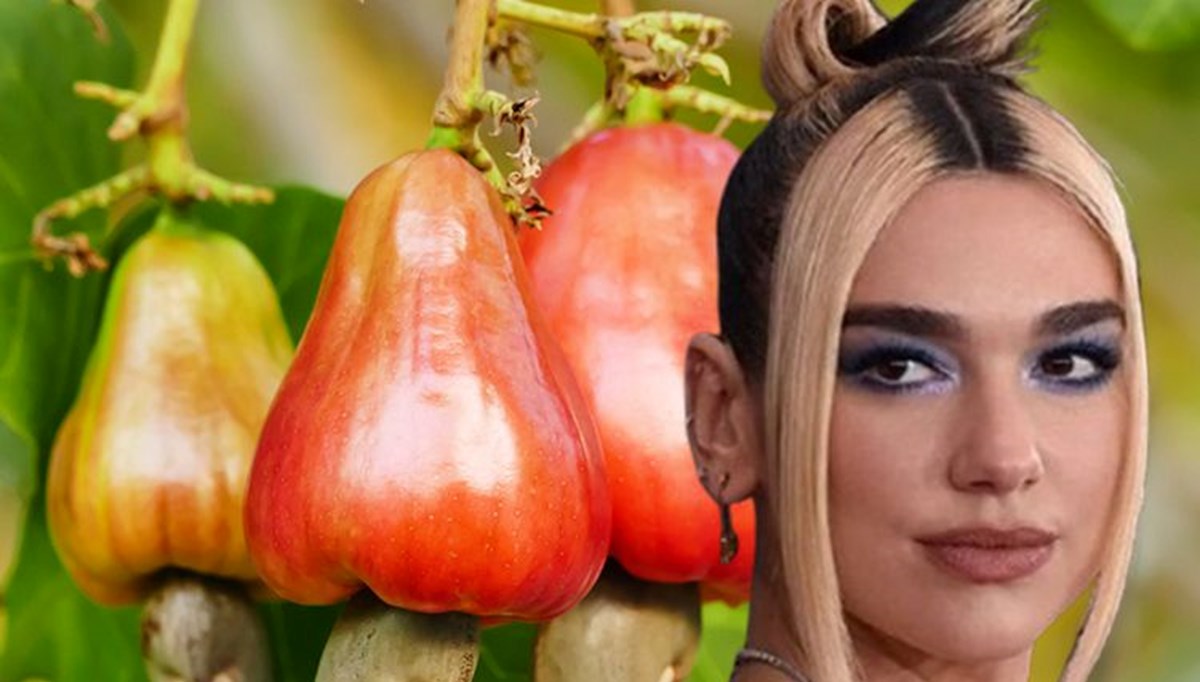 Dua Lipa'nın muhteşem fiziğinin sırrı ortaya çıktı: Spor öncesi tükettiği olmazsa olmaz 2 besin Dua Lipa'nın muhteşem fiziğinin sırrı ortaya çıktı: Spor öncesi tükettiği olmazsa olmaz 2 besin