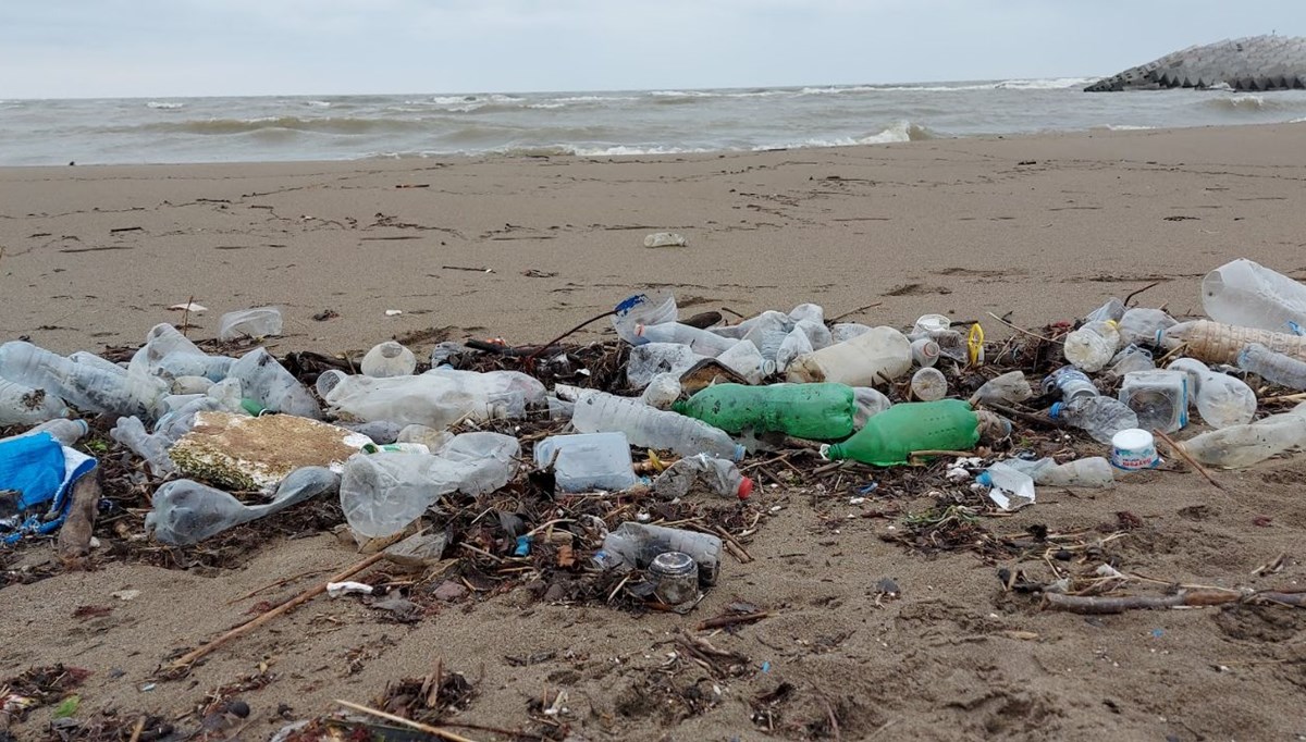 Karadeniz'in en temiz plajları