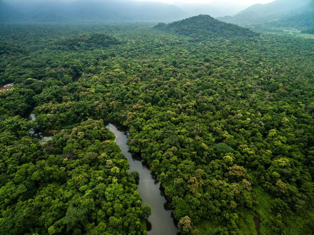 Amazon’daki ormansızlaşma bir yılda yüzde 25 arttı - 4