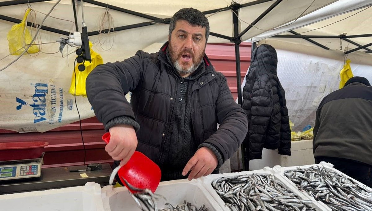 Tezgahlarda hamsi bolluğu, fiyatı yine düşüşe geçti: Vatandaşımız ucuzken alsın