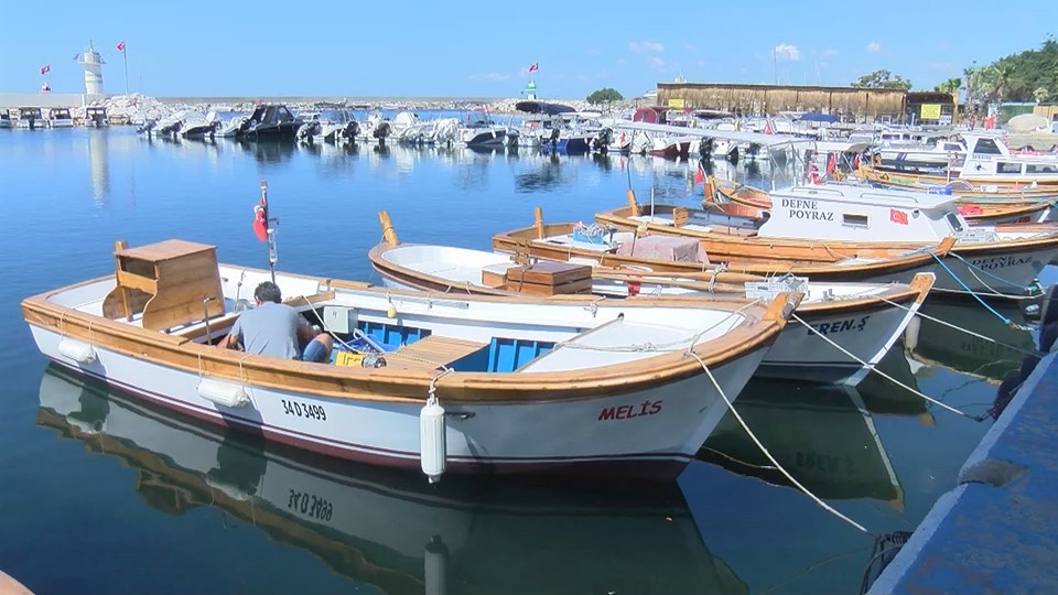 Uzmanlar ve balıkçılar arasında 'Marmara Denizi'nde av sezonu ertelenmeli mi?' tartışması - 2