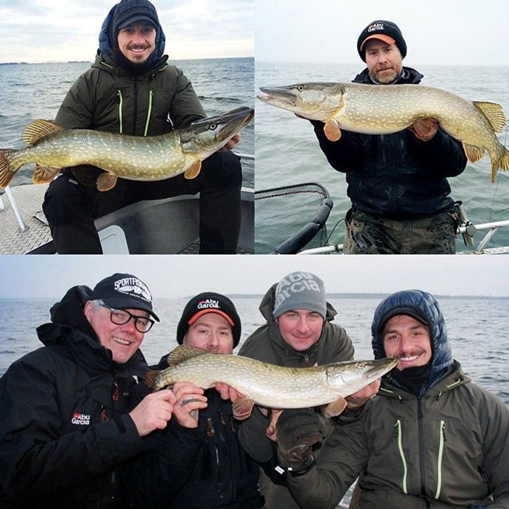 Zlatan Ibrahimovic hobileri için yeni orman satın aldı - 8