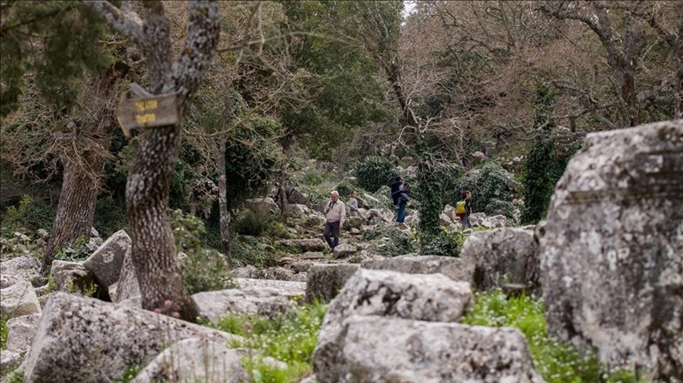 Büyük İskender'in alamadığı Termessos Milli Parkı ziyaretçilerini bekliyor - 1