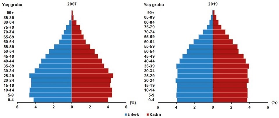 Yaşa göre nüfus piramidi, 2007 ve 2019