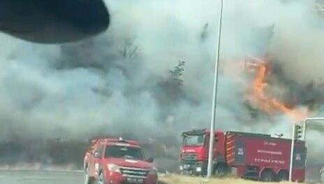 Aydın'da makilik alanda yangın