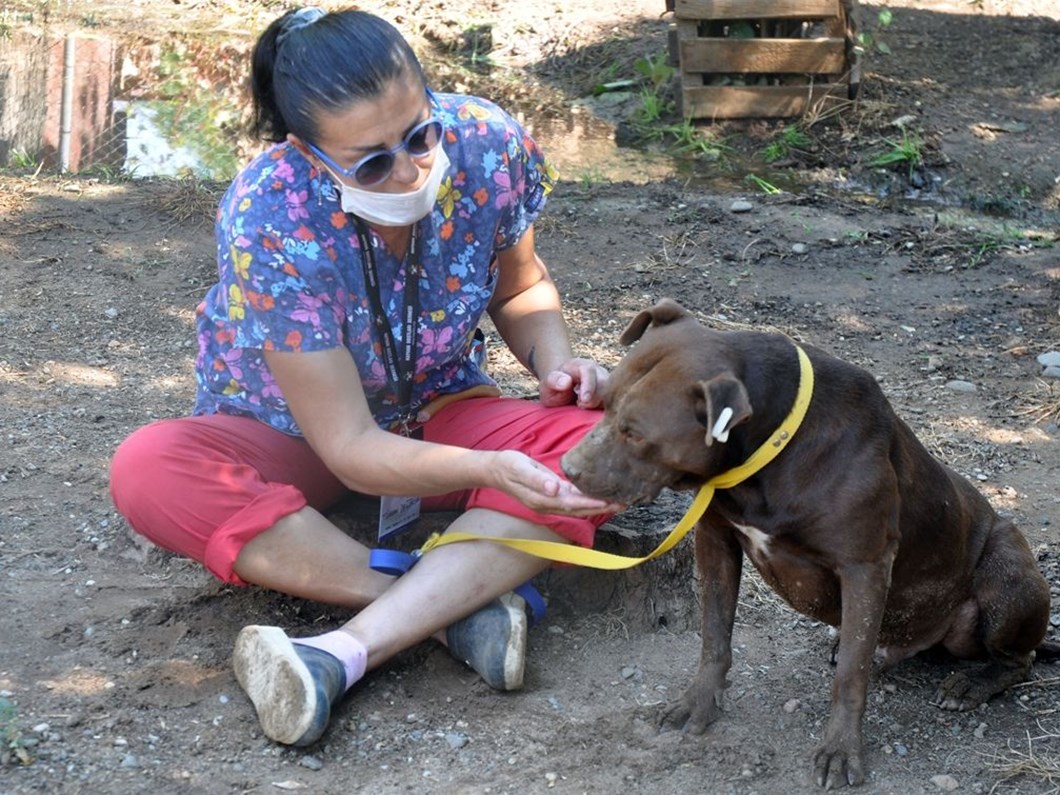 30 bin lira ceza kesildi