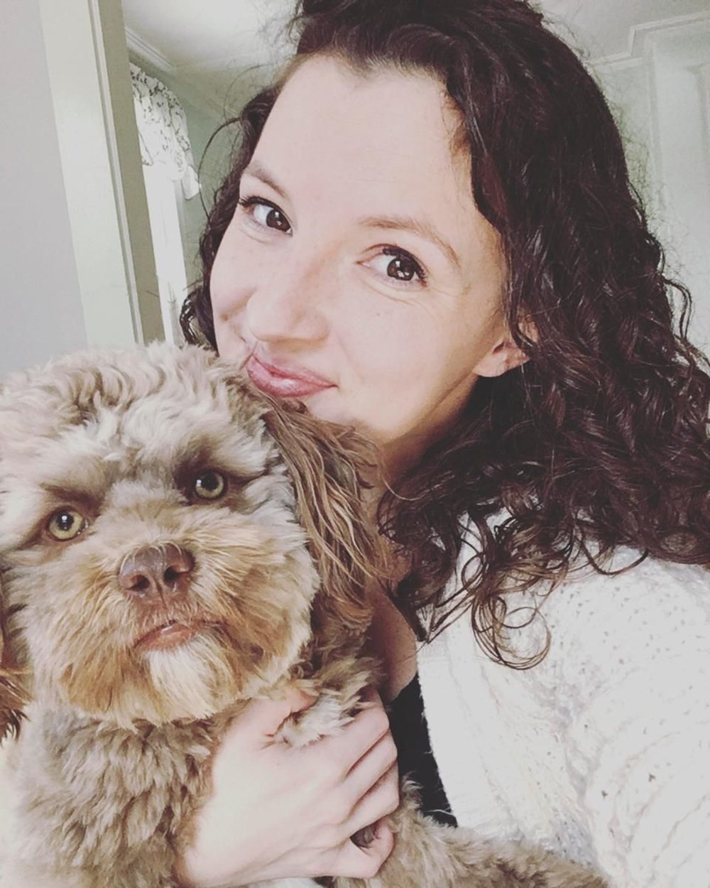 yeni fenomeni İnsan yüzlü köpek &quot;Yogi&quot; Magazin Haberleri