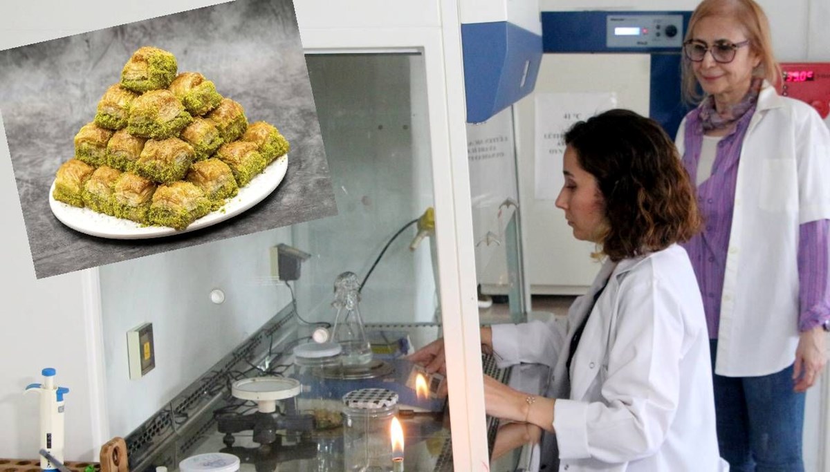 20 numuneden 5'inde bakteri çıktı