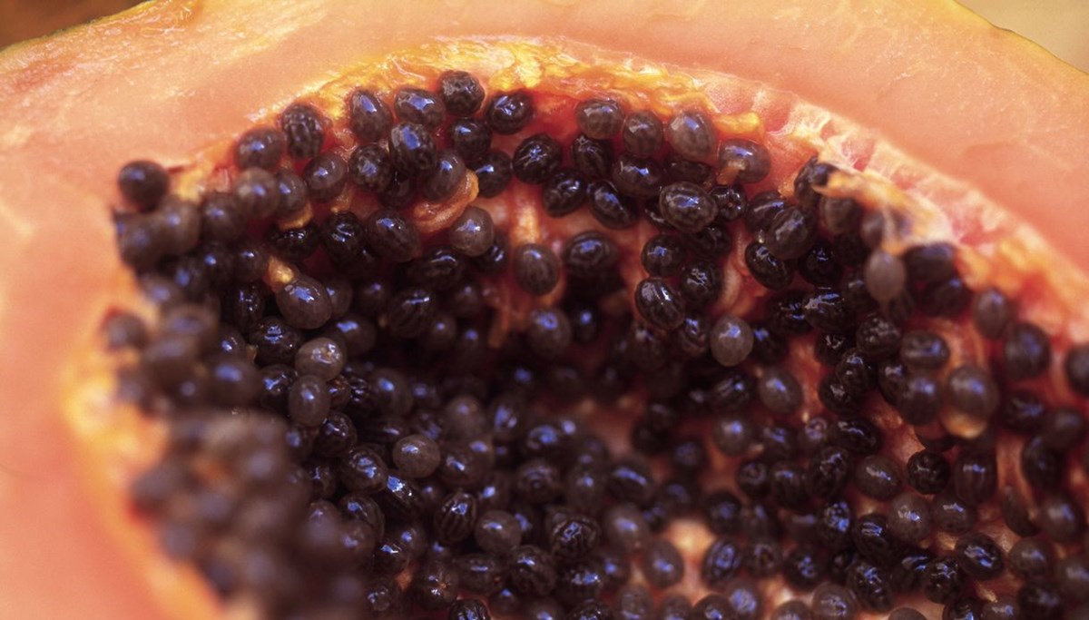 Günlük C  vitamini ihtiyacının yüzde 200'ünü karşılıyor: Yaşlanmayı geciktirdiği de kanıtlandı