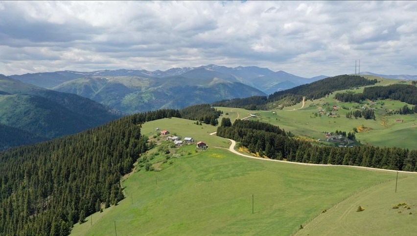 Giresun'da yaylada çatışma: Üç can kaybı var