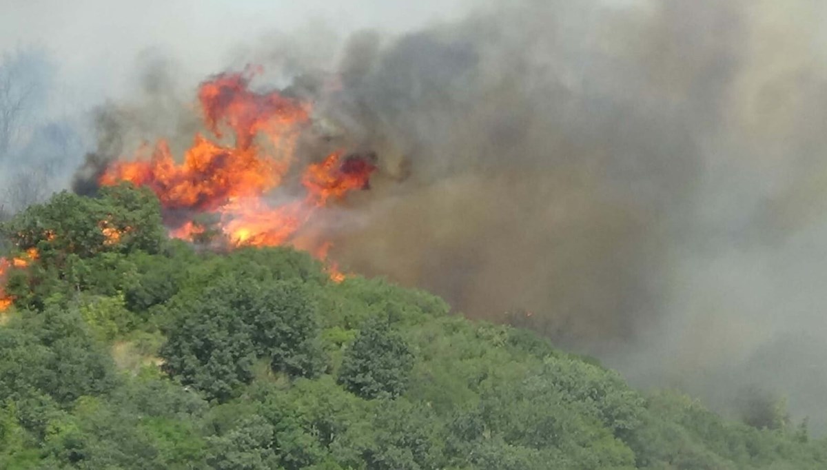 Çanakkale'deki orman yangın 26 saatte kontrol altında