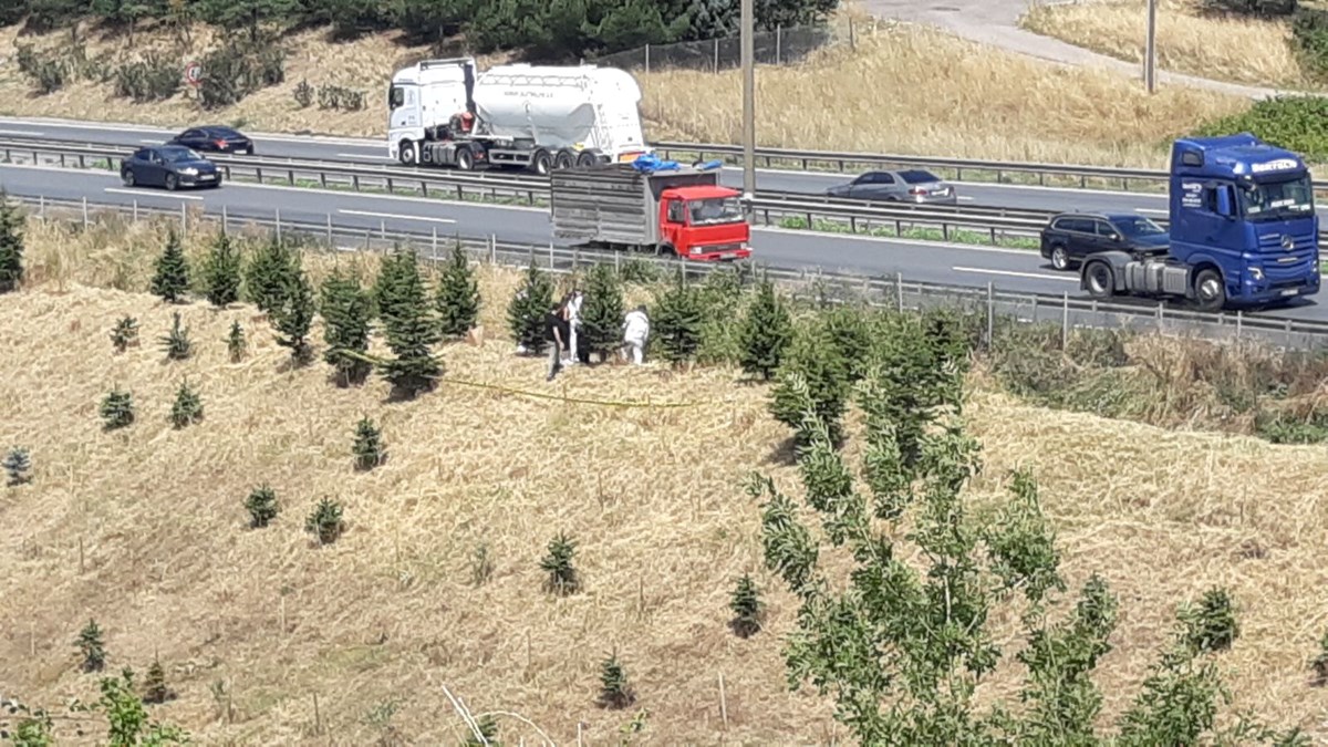 Kadavra köpeği Zeyna koku aldı, TEM kenarında kadın cesedi bulundu