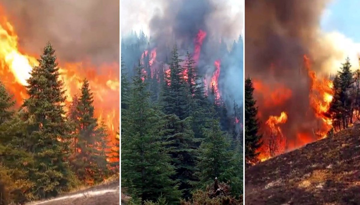 Arıları sakinleştirmek isterken Kahramanmaraş'ı yaktı!