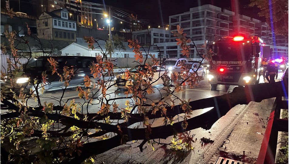 Trabzon'da şiddetli rüzgar ağaçları devirdi