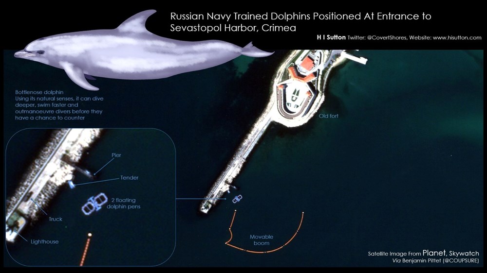 Rusya, Karadeniz’deki üssünü korumak için su altına yunuslardan oluşan bir ordu yerleştirdi: Uydu görüntüleri yayınlandı - 1