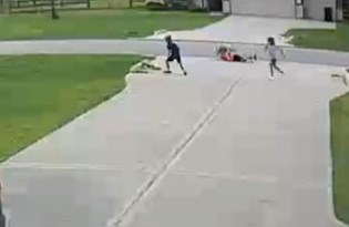 pitbull sahibine saldirdi polis