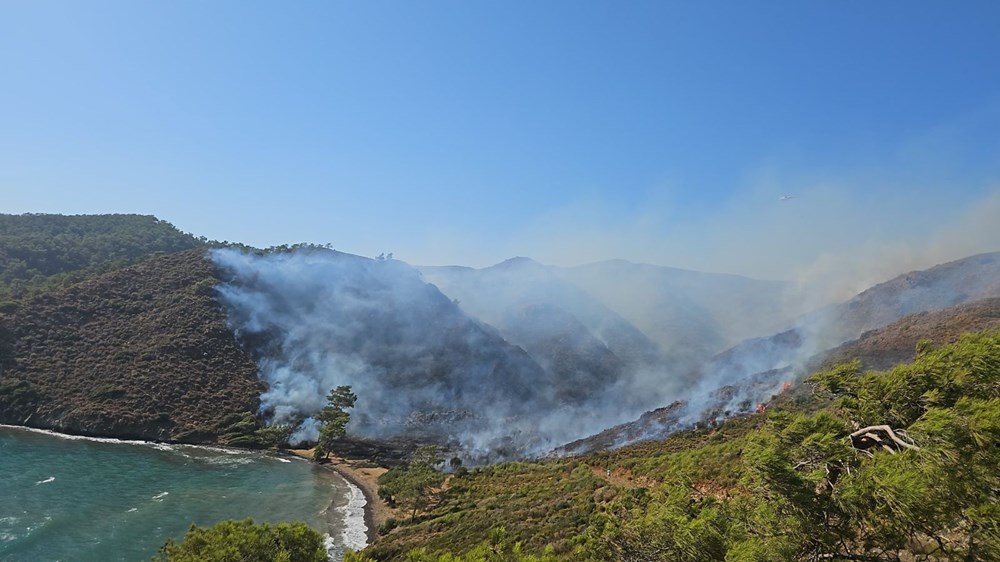 Marmaris'te orman yangını: 3 kişi gözaltında - 1