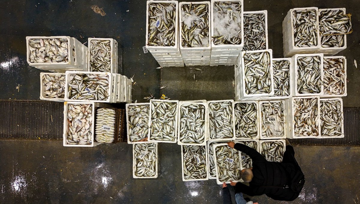 Av yasağı başlıyor Av yasağı başlıyor