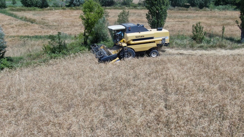 Sivas’ın Adana’sında hububat hasadı! 2 hafta devam edecek - 7