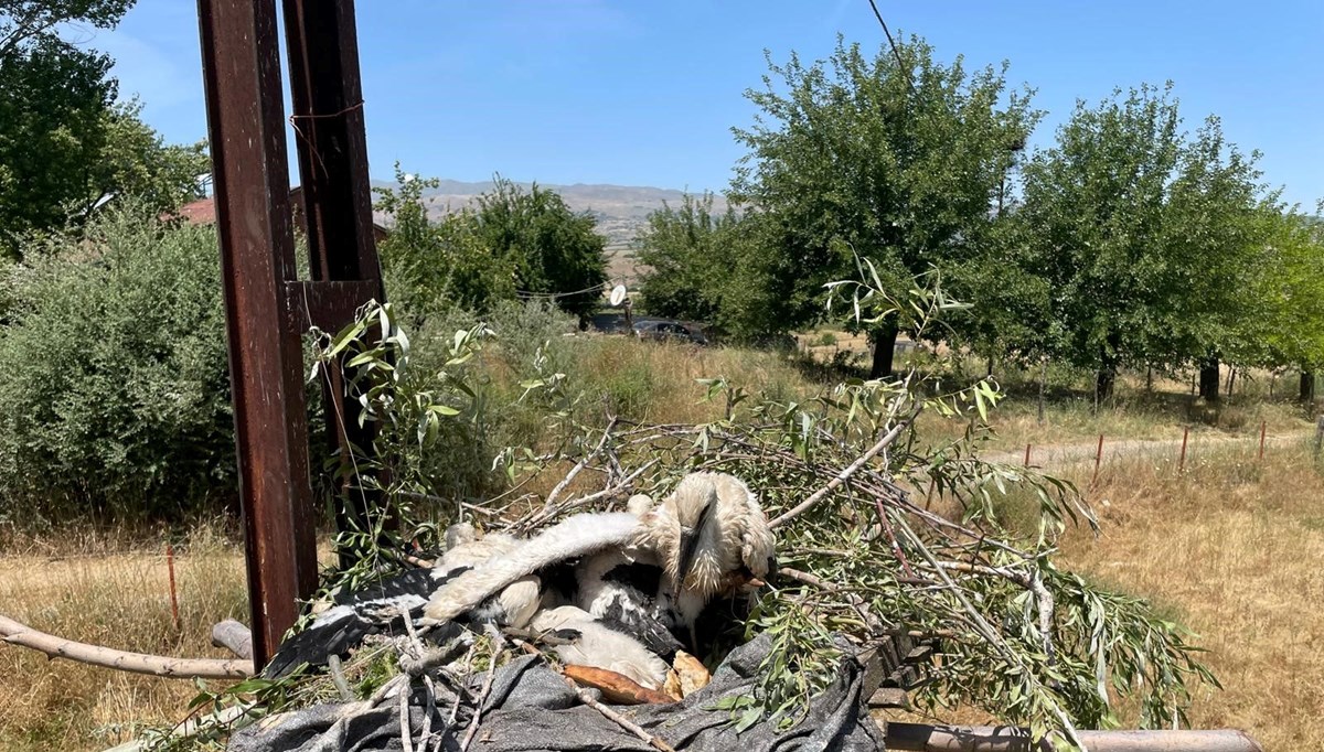 Yuvadan düşen yavru leyleklerin imdadına itfaiye ekipleri yetişti