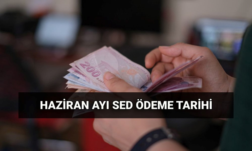 Haziran SED ödeme tarihi 2025: Sosyal ve Ekonomik Destek (SED) ödemeleri ne kadar, ne zaman yatar? - 1