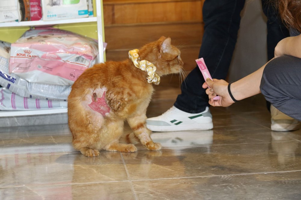 47m8rlY7KEaBH6jBWwPLQw