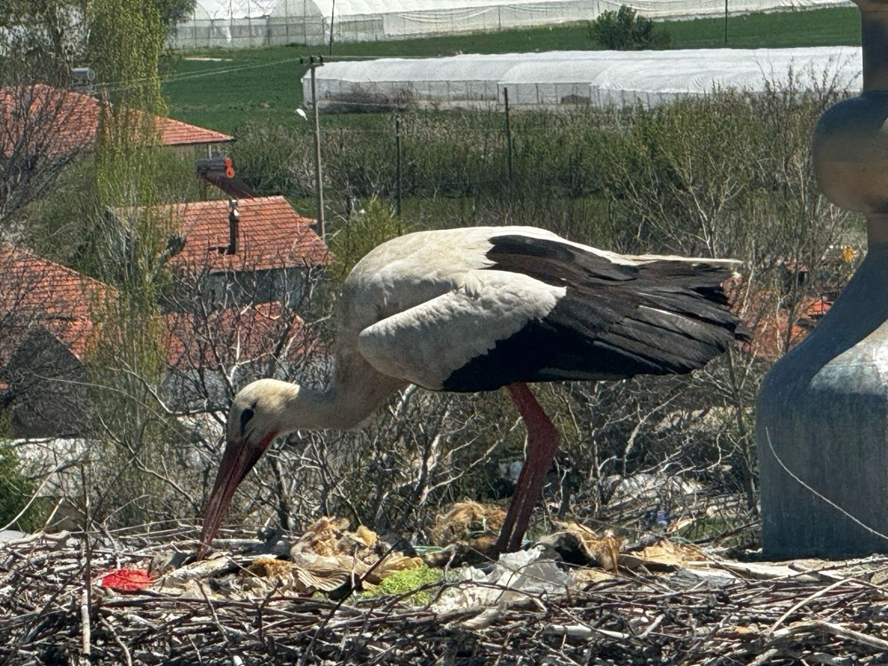 4A8QbI5njEC9bkyuV7i 4w