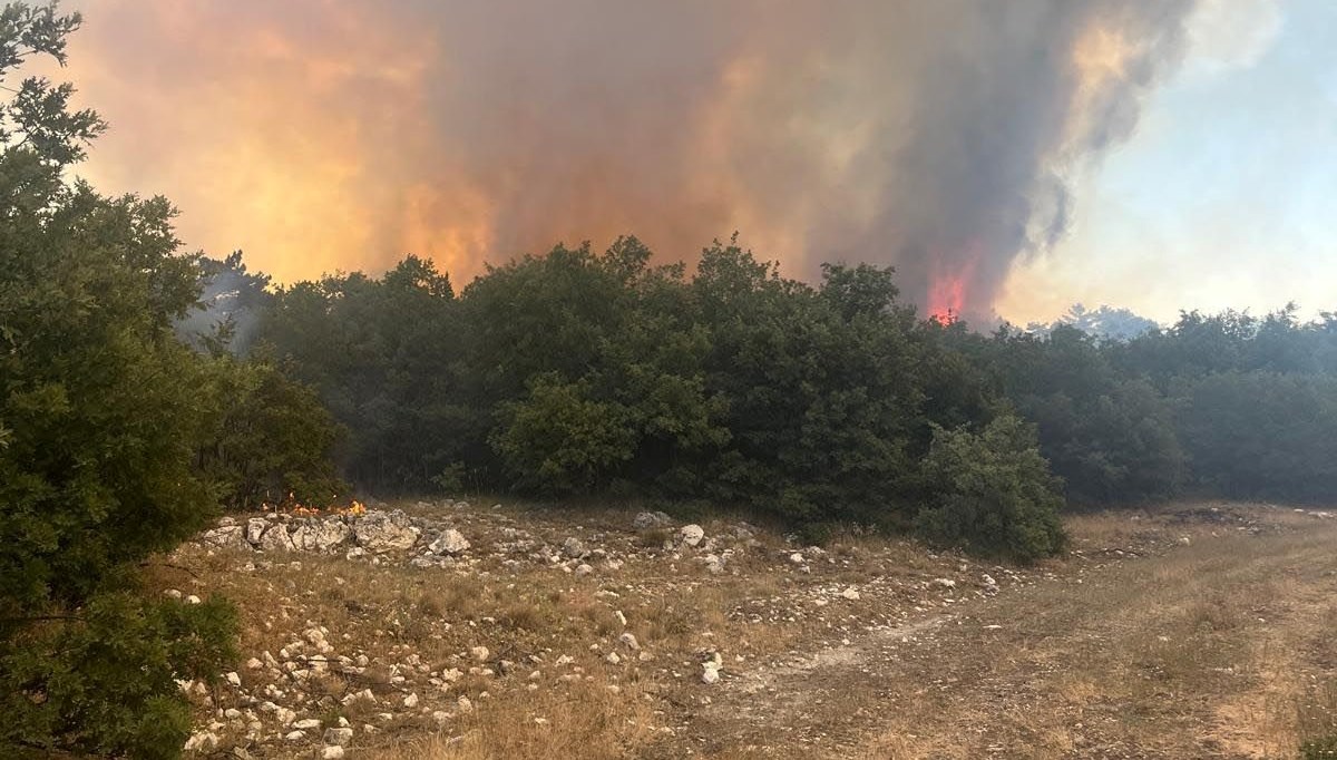 Eskişehir'de orman yangını
