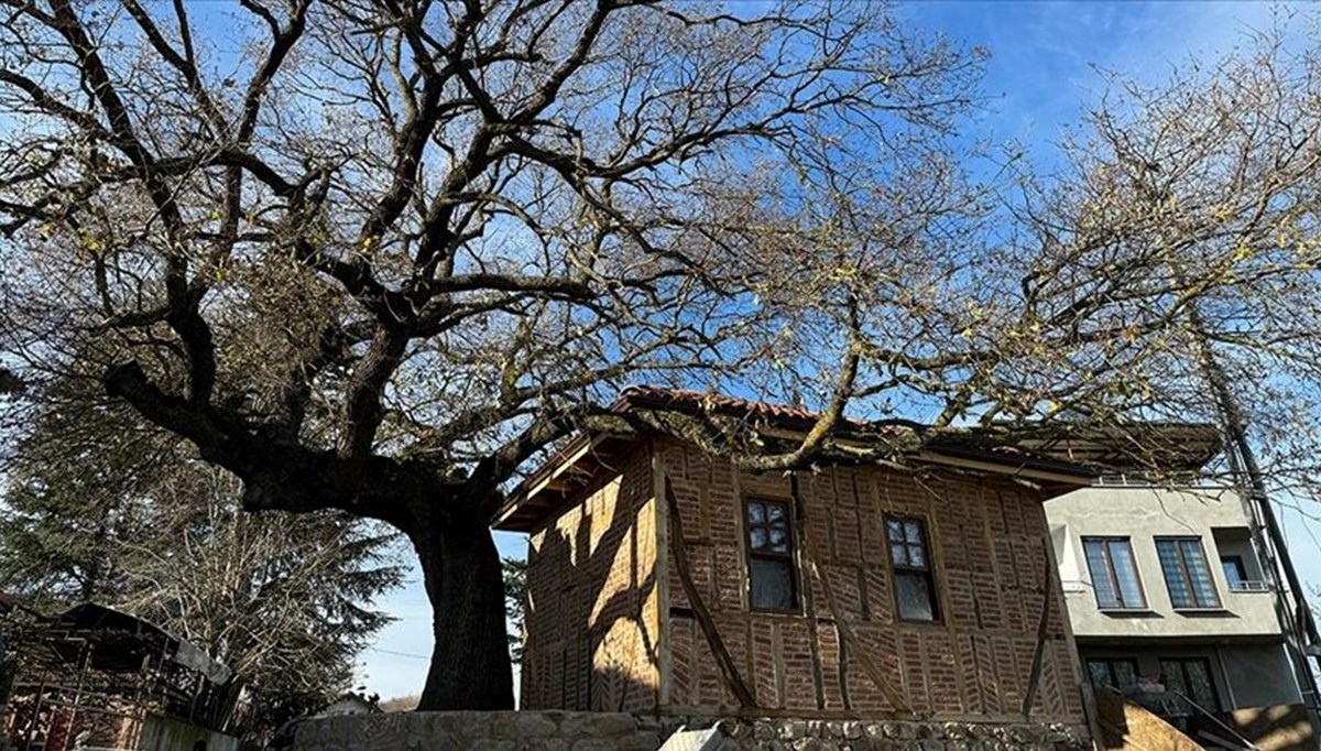 Yalova'daki son dönem Osmanlı mimarisi örneği mescidin restorasyonu tamamlanıyor