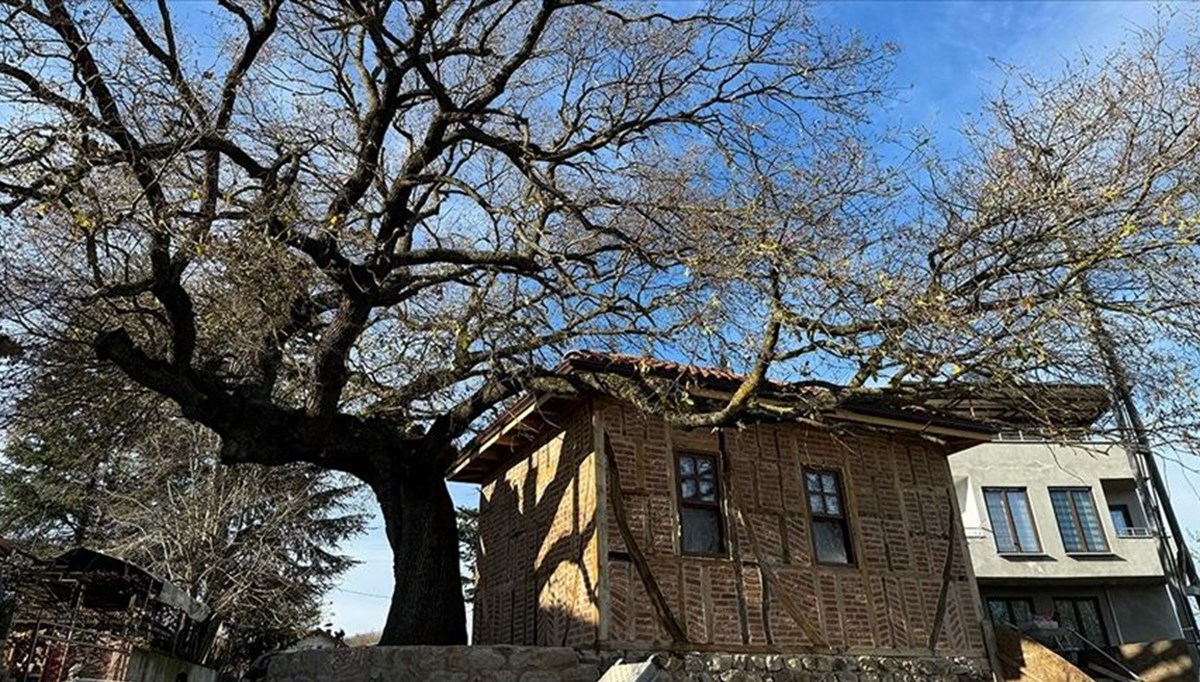 Yalova'daki son dönem Osmanlı mimarisi örneği mescidin restorasyonu tamamlanıyor Yalova'daki son dönem Osmanlı mimarisi örneği mescidin restorasyonu tamamlanıyor