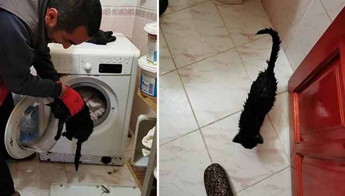 Sahibi çamaşır makinesine attı, itfaiye kurtardı