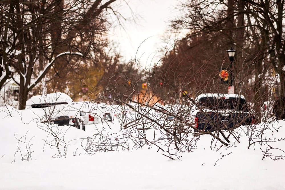 ABD'de yaşanan soğuk hava Türkiye'de yaşanır mı? (Siklon bombası nedir?) - 1