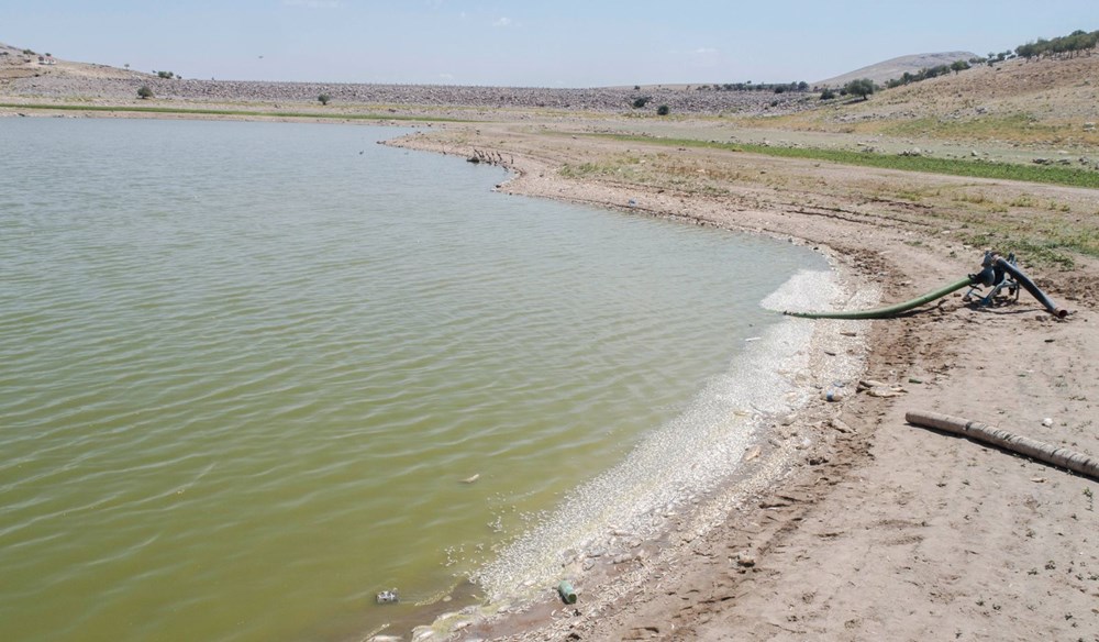 May Barajı'nda korkutan görüntü: Sular çekildi, binlerce balık telef oldu - 12