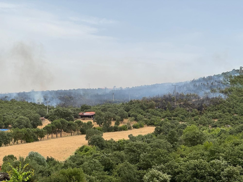 Muğla, Balıkesir ve Denizli'de 4 noktada orman yangını: Havadan ve
karadan müdahale sürüyor - 6